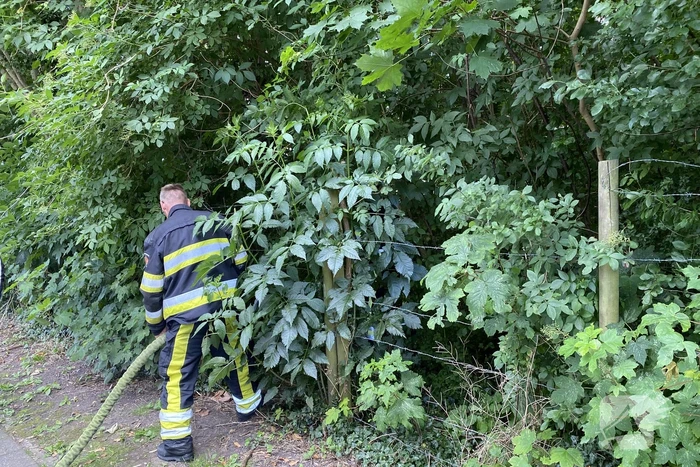 Brand in bosschage snel geblust