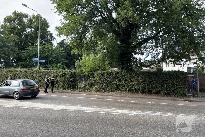 Auto schiet door tuin en ramt muur