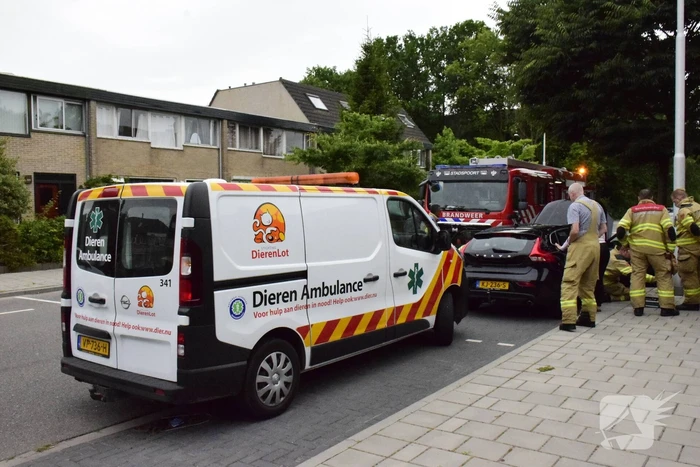 nieuws loevestein ede
