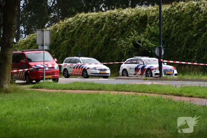 Automobilist overleden bij crash tegen boom