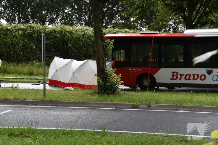 Automobilist overleden bij crash tegen boom