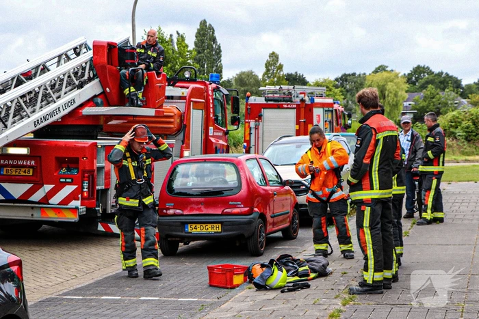 Grote tak van boom afgebroken over voetpad