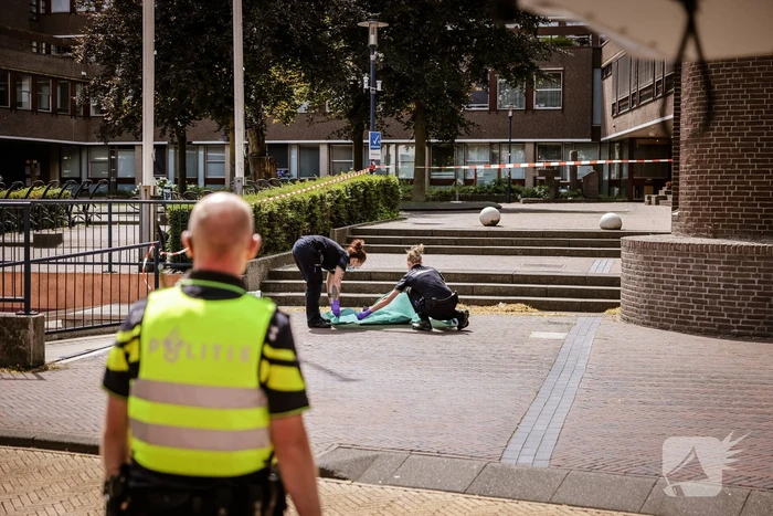 Gewonde bij steekpartij voor stadhuis