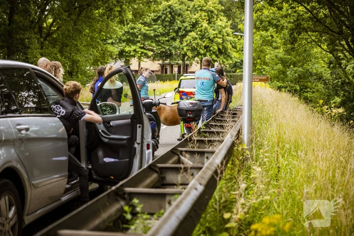 Jongedame gaat hard onderuit met Go Sharing-deelscooter