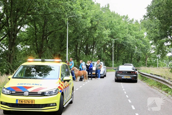 Jongedame gaat hard onderuit met Go Sharing-deelscooter