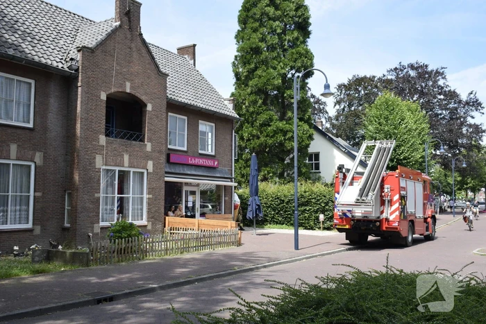 nieuws bart van elstplantsoen bennekom