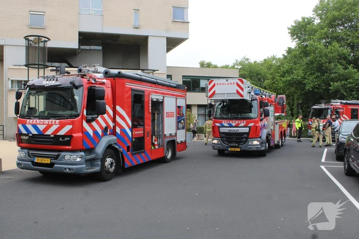 brand westersingel rotterdam