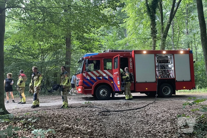 Brand midden is bosgebied
