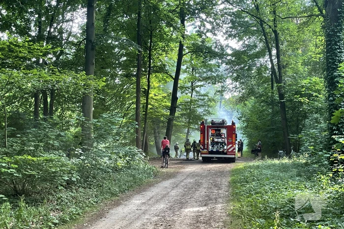 Brand midden is bosgebied