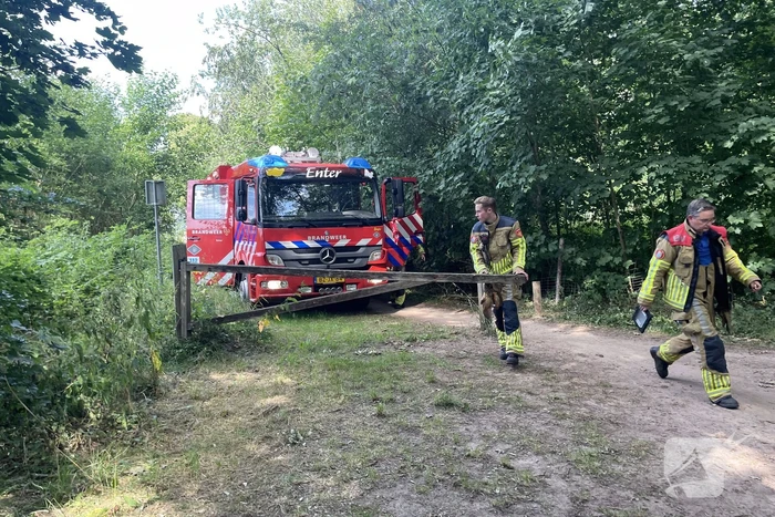Brand midden is bosgebied