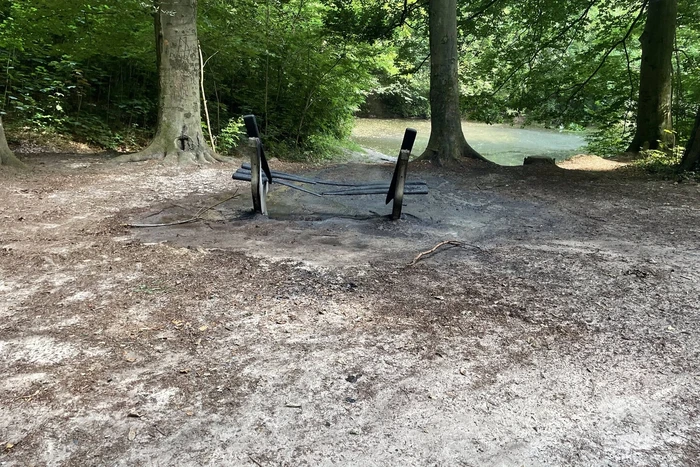 Brand midden is bosgebied