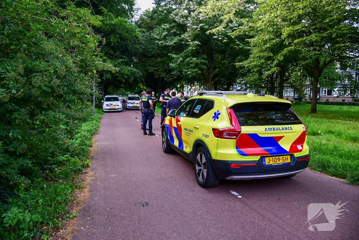 steekincident max havelaarweg hoogvliet rotterdam