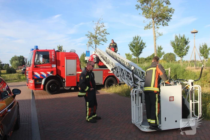 Brandweer zet jonge ooievaar terug in nest