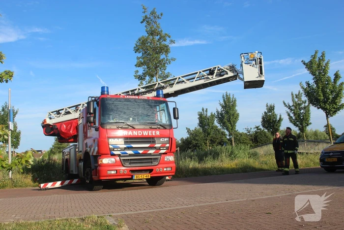 Brandweer zet jonge ooievaar terug in nest