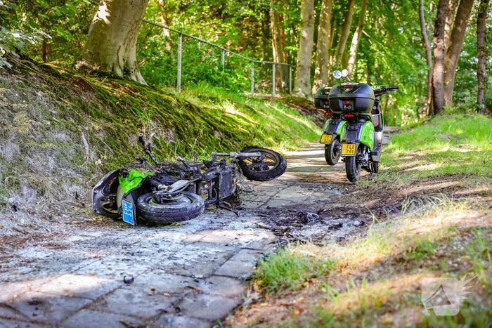 Opnieuw een Go Sharing-deelscooter in de hens