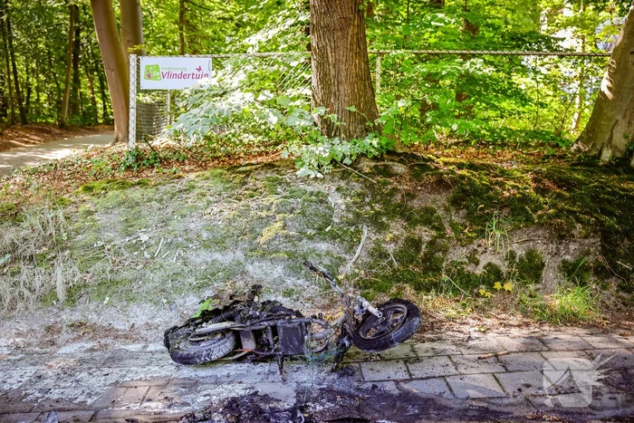 Opnieuw een Go Sharing-deelscooter in de hens
