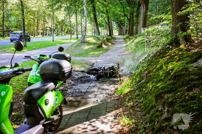 Opnieuw een Go Sharing-deelscooter in de hens