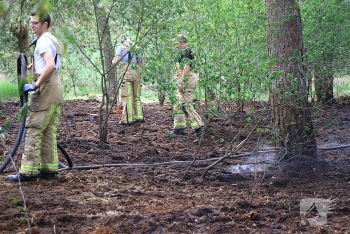 Brand in bosgebied opnieuw geblust