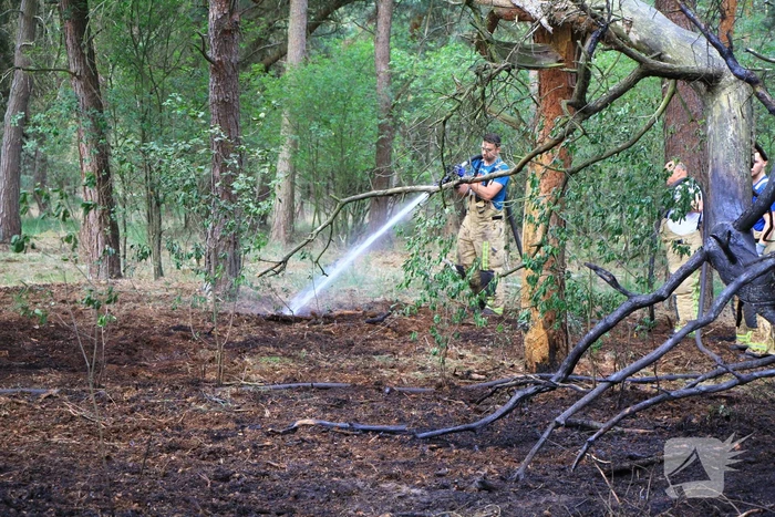 Brand in bosgebied opnieuw geblust