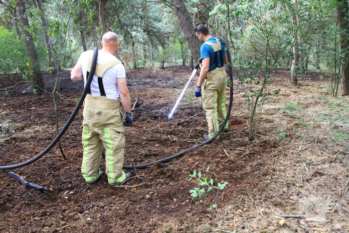 Brand in bosgebied opnieuw geblust