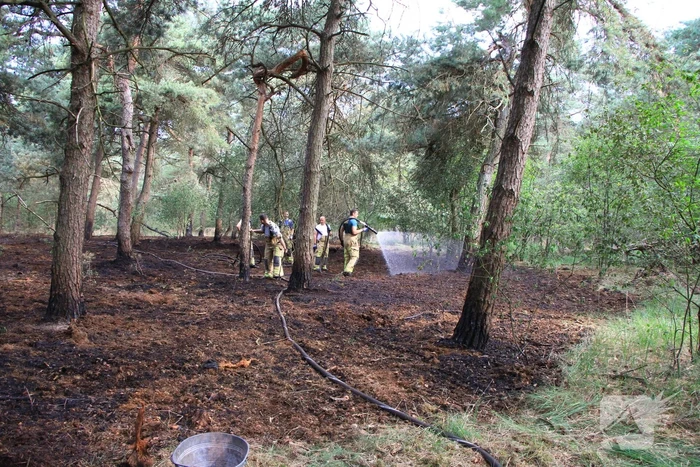 Brand in bosgebied opnieuw geblust