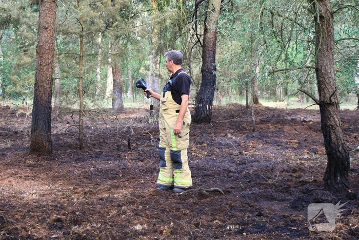Brand in bosgebied opnieuw geblust