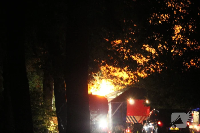 16 dieren omgekomen bij brand