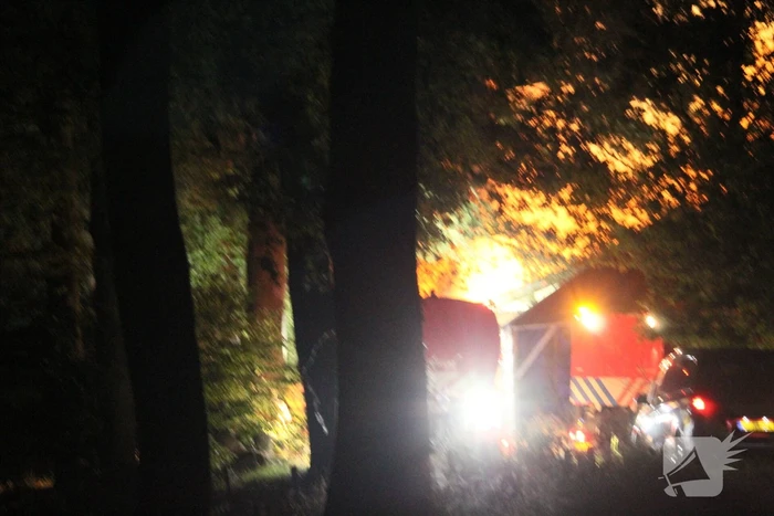 16 dieren omgekomen bij brand