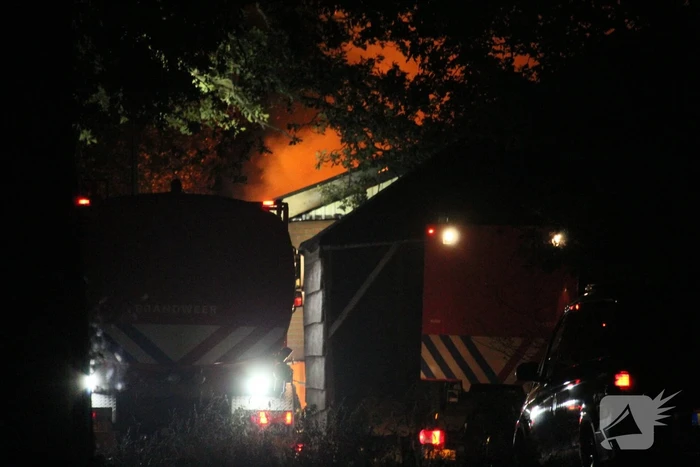 16 dieren omgekomen bij brand