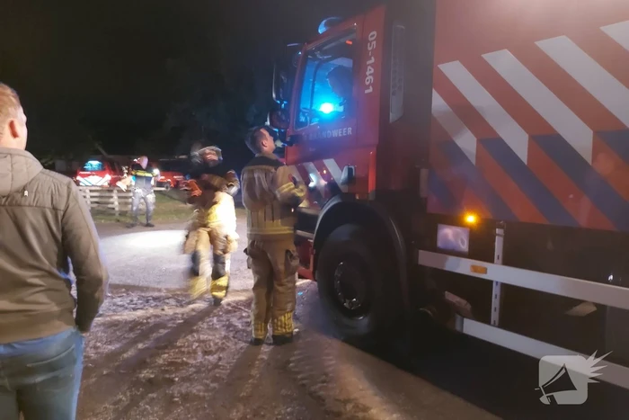 16 dieren omgekomen bij brand