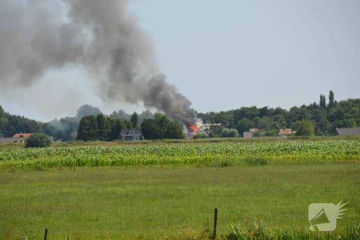 brand krûme swynswei nij beets