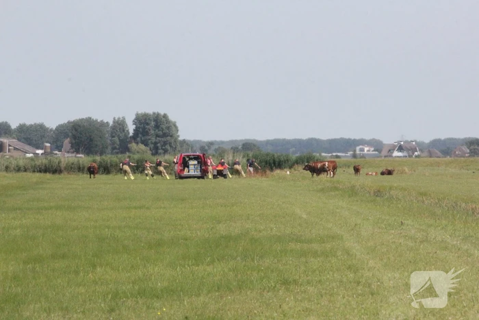 nieuws cors rijkeweg eemnes