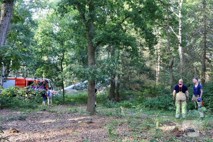 Beginnende natuurbrand snel geblust