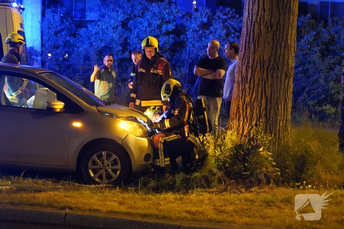 Auto botst frontaal op boom