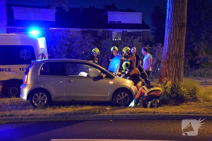 Auto botst frontaal op boom