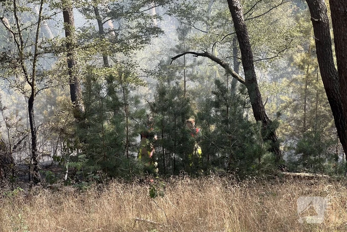 Flinke natuurbranden op de Brunssummerheide