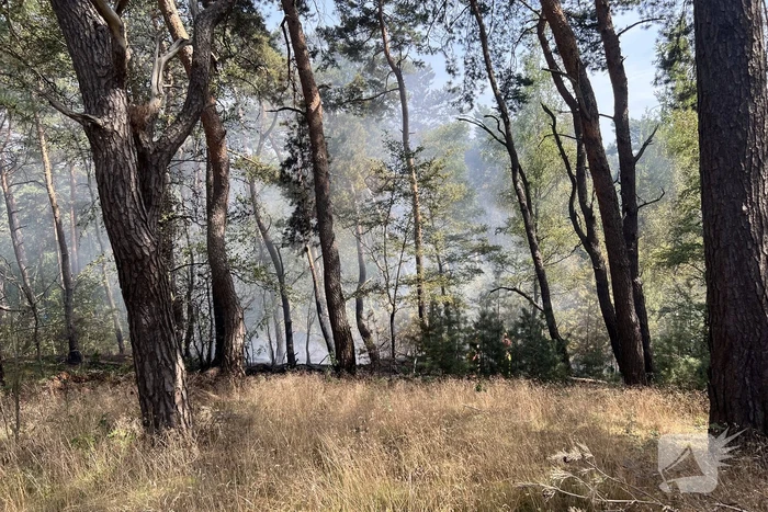 Flinke natuurbranden op de Brunssummerheide