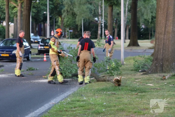 natuur lijsterstraat enschede