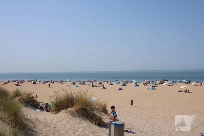 Drukte op het Maasvlaktestrand