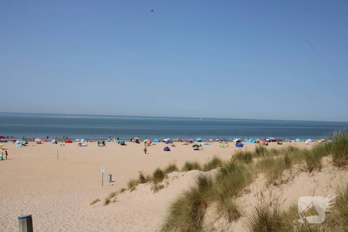 Drukte op het Maasvlaktestrand