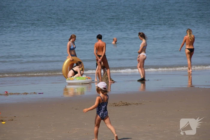Drukte op het Maasvlaktestrand