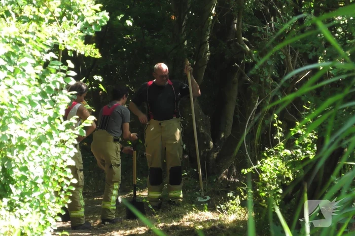 Brand op wandelpad in natuurgebied snel gedoofd