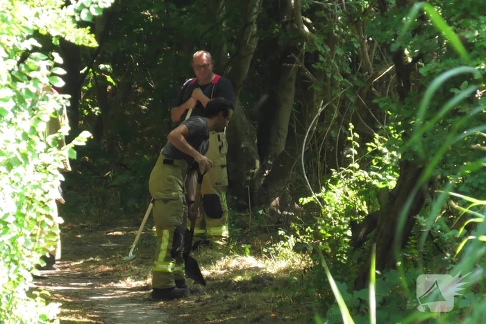 Brand op wandelpad in natuurgebied snel gedoofd