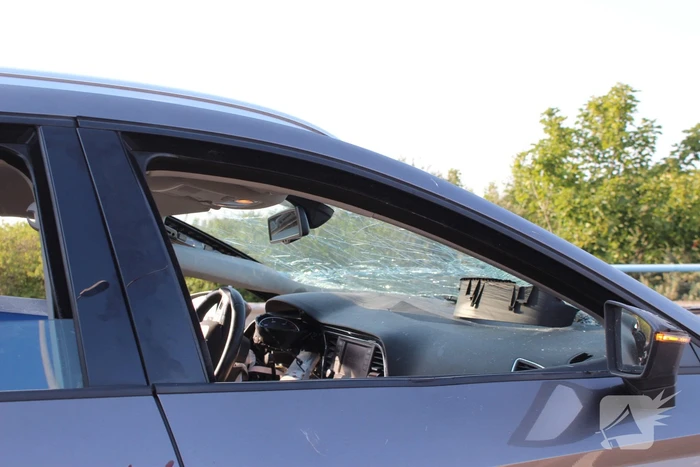 Ravage nadat auto door hekwerk heen boort