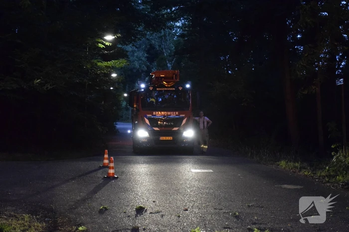 Grote tak verspert doorgaande weg