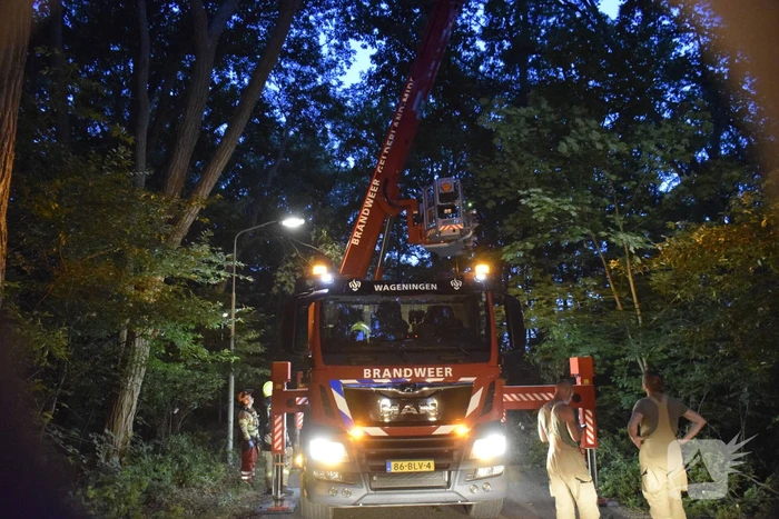 Grote tak verspert doorgaande weg