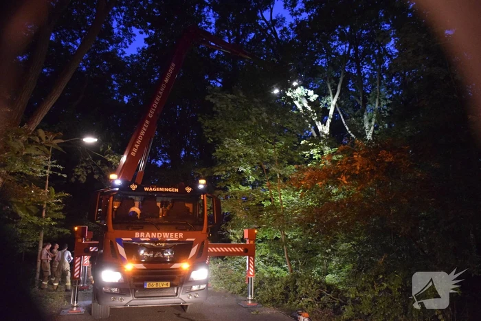 Grote tak verspert doorgaande weg