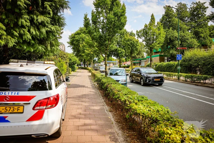 Auto knalt op boom