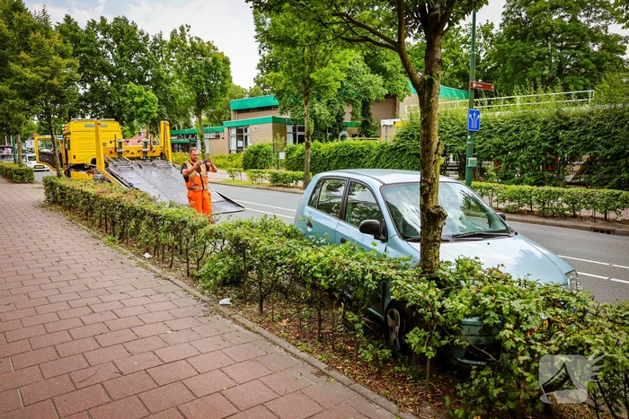 Auto knalt op boom