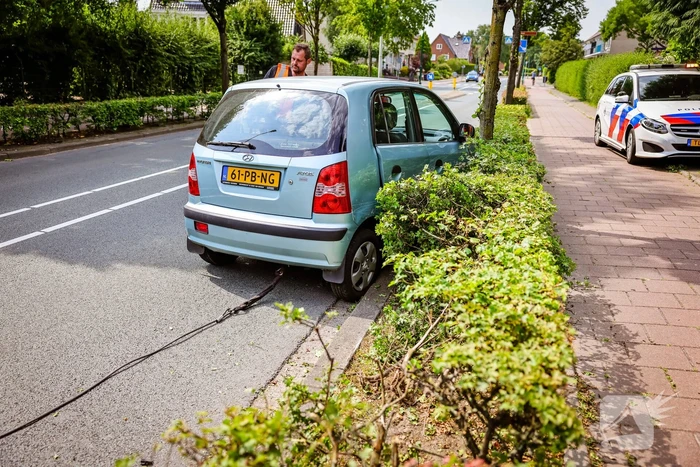 Auto knalt op boom